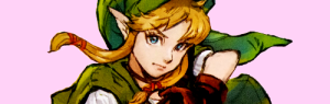 FEMLINK2