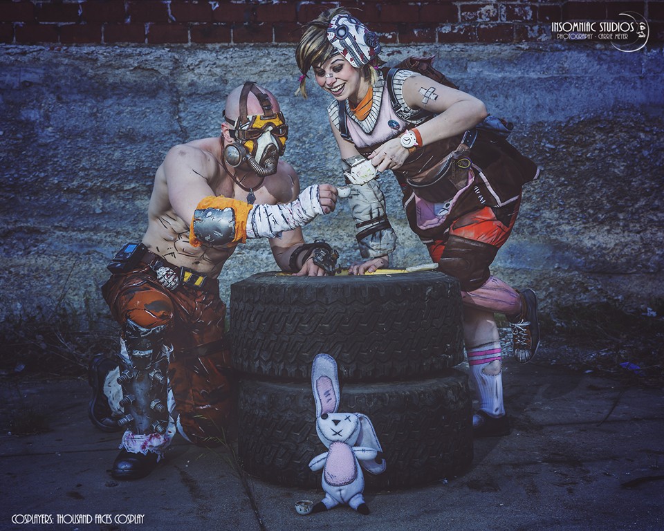 borderlands5